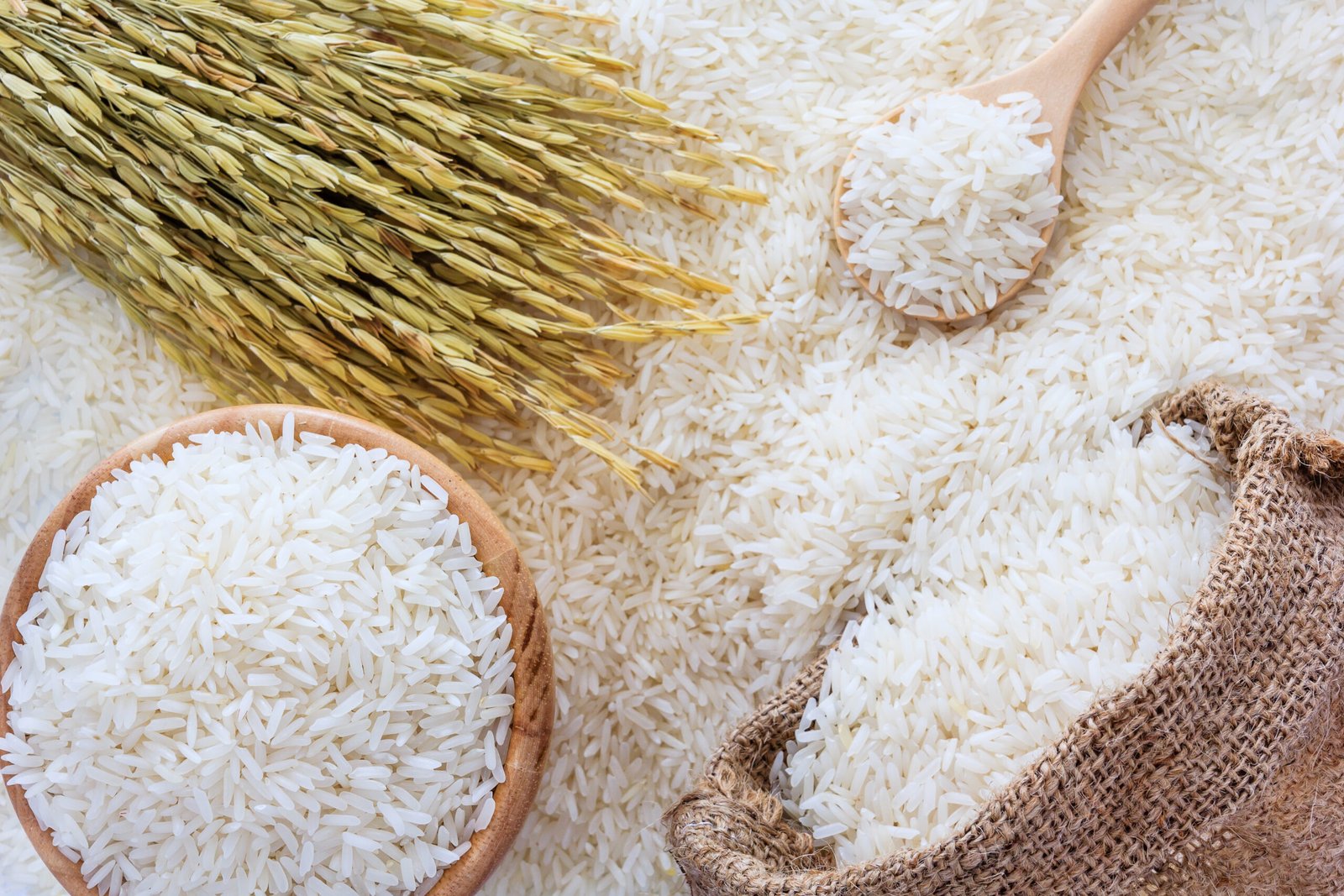 White rice in bowl and a bag, a wooden spoon and rice plant on white rice background, Top view with copy space
